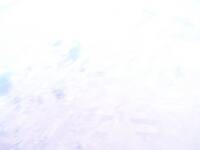 thmbnail image for 320 -  17_831 km    76_54 mb.jpg